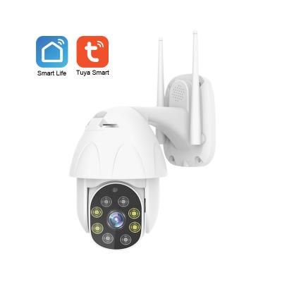 China Waterproof / Weatherproof Tuya New Arrival 2.5 Inch Full HD 1080P Dome Camera Pan Tilt One Life Smart Mini Wifi On Smartphone APP Control for sale