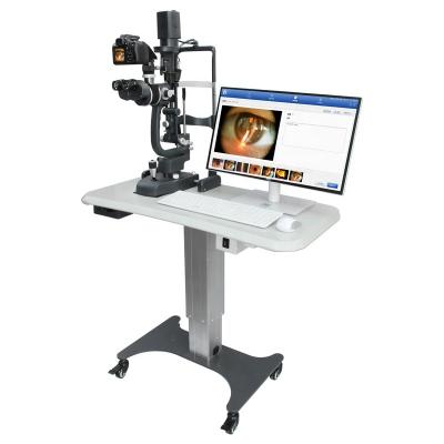 China Metal Digital Camera Slit Lamp KJ5DII Advanced With Digital Image Processing System And Low Price From China for sale