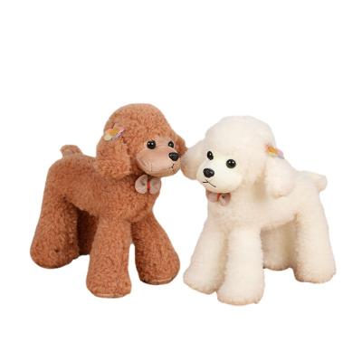 China Cute Plush Toy Simulation Poodle Dog Plush Toy Teddy Dog Dolls Puppy Pillow Gift Stuffed Soft Rag Dolls Grasp Machine Doll For Kids for sale