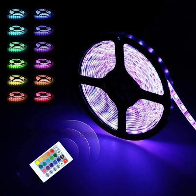 China Waterproof IP65 LANDSCAPE Remote Control Flexible Color Led Light Strips 5M for sale