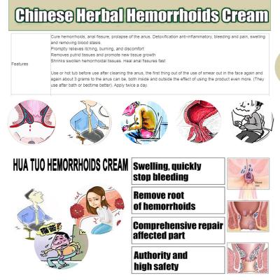 China Healthy Natural Chinese Suppository Powerful External Hemorrhoid Treatment Hemorrhoids Cream for sale