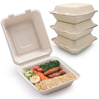 China Modern Disposable Sugarcane Bagass Paper Pulp Cake Packaging Hamburger Box Square Lunch Box Disposable Takeout Box for sale