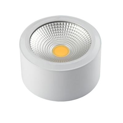 China Modern Downlight Epistar COB Dimmable Round LED Ultrathin Surface Mounted High Ceiling Light Down Light for sale