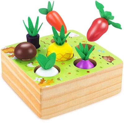 China Educational Toy Vegetables and Fruits Harvest Montessori REFRESH Educational Size Matching Wooden Puzzle Toys for Toddlers Boys and Girls Gift for sale