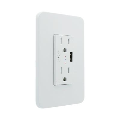 China Shuwei's Best Selling High Quality Residential/Multi-Purpose High Quality Alexa Google Multifunction Wifi Smart Wall Plug With Usb for sale