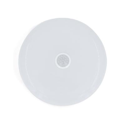 China All weather light on/human body feeling white factory direct supply triple proof ceiling lamp led ceiling light for sale