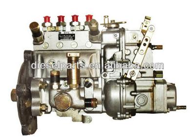 China TL4110 Diesel Engine Injection Fuel Pump /BYC Fuel Injection 10402374013 Standard for sale