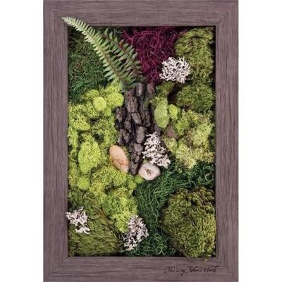 China All Green Plant 3d Photo Frame Hanging Flowers For Wall Home Decoration New Style Photo Frames Wall Hanging for sale