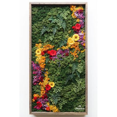 China ALL Unique Hanging Photo Frame 3D High Quality Metal Frame Artificial Wall Art Shadow Box Photo Frame Home Decorative Plants for sale