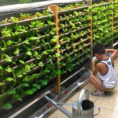 China Modern Custom Durable Hydroponics Systems Vertical Grow Growing System Hydroponics System for sale