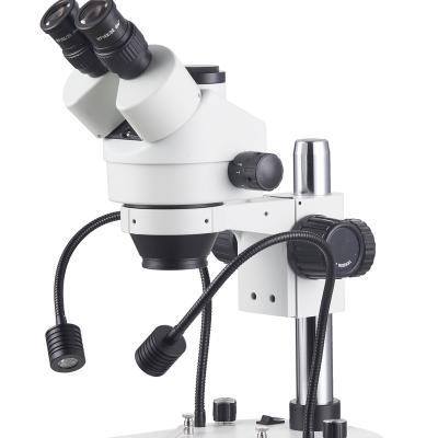 China New Arrival Kailiwei White Microscope Customizable Handy Microscope 200x255x22mm for sale