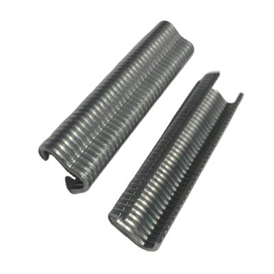 China Fasteners Staples M18 High Quality Flat Nails For Fence Netting for sale