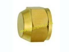 China Brass Cap Nut (brass nut, capped nut, brass fitting, plumbing fitting) for sale