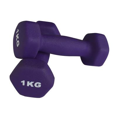 China Plastic Dip In Dumbbell Gym Equipment Dumbbell Set Weights Dumbbells Hexagon Neoprene Coated Dumbbell for sale