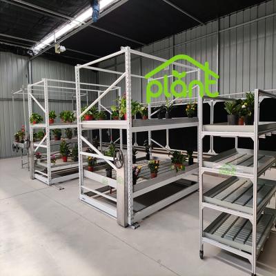 China Easy For Operation Agriculture Nursery Growing Vertical Hydroponic System for sale