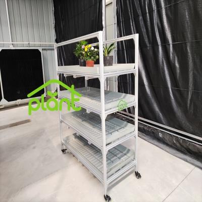 China Easy For Operation Hydroponic Greenhouse Grow Stand For Planting for sale