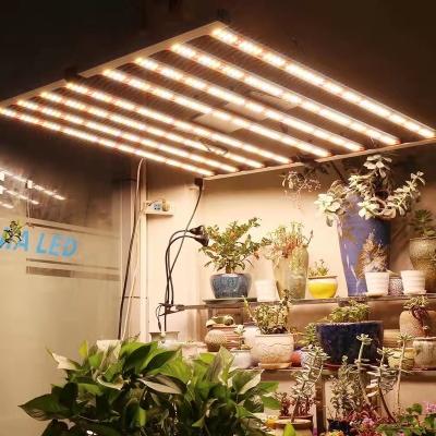 China Seed Starting New Hydroponic Plant Grow Light 720w Full Spectrum 640w LED Indoor Plant Growth Light for sale