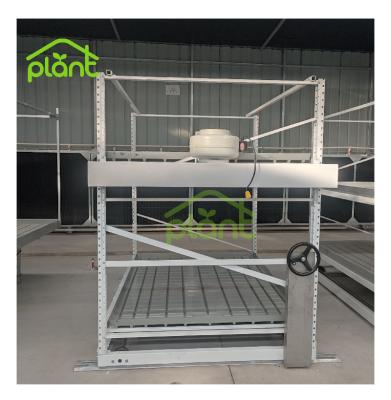 China Building Material Stores Vertical Grow Rack With Fan Hydroponic Growth System Family Planting Rack Aeration Fan for sale