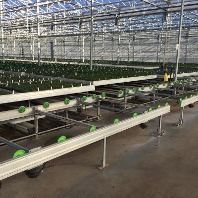 China Easy For Operation High Quality Agricultural Garden Rolling Greenhouse Planting Seedling for sale