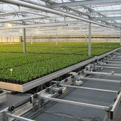 China Easy For Operation Greenhouse System Tray Hydroponic Growing Ebb And Flow Nursery Workbench for sale