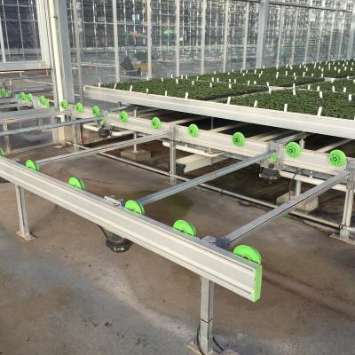 China Easy For Operation Greenhouse Easy To Assemble Hydroponic Ebb And Flow Nursery Table Rolling Bench for sale