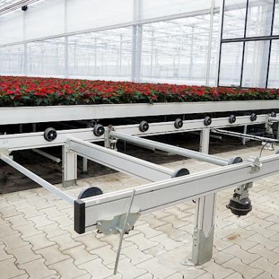 China Easy for operation greenhouse system planting tray ebb and flow down hydroponic table nursery workbench for sale