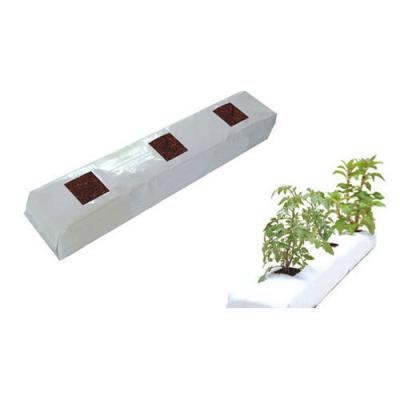 China Environmental Protection Garden Cacao Peat Mushroom Cacao Growing Peat Planting Bag for sale