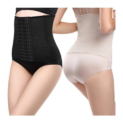 China Women Antibacterial Body Sculpting Abdomen Belt Fitness Belly Reduction Slimming Shapewear Set Waist Corset Breathable Belt for sale