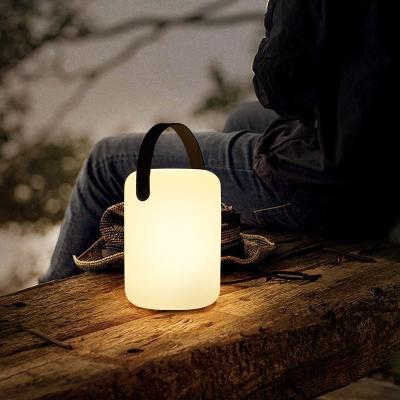 China Modern Nordic Indoor Waterproof Plastic Portable LED Lamps Wireless Cylinder Table Lamp With Handle for sale