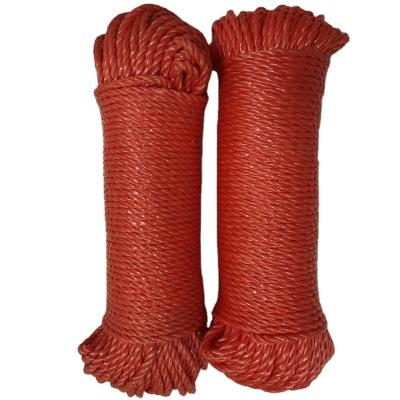 China Hotsell 4mm Polypropylene Rope Clothes Dryer Clothesline Red Line Outdoor Clothesline Rope for sale