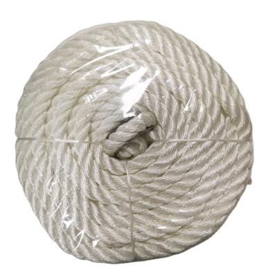 China Polyester Competitive Price Customized 10mm*30.5m White Polyester Twisted Rope for sale