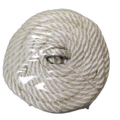 China Factory Wholesale OEM Universal White Polyester Twisted Rope 10mm*30.5m For Paper Bag for sale