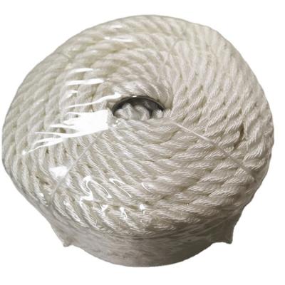 China Polyester Manufacturer Skillful White Polyester Customized 10mm*30.5m Twisted Rope for sale