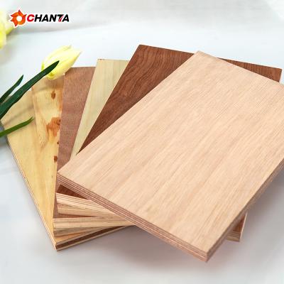 China 5x10 Modern Cedar Panels Red Hardwood Plywood Pencil Covers For Furniture Wrapping for sale