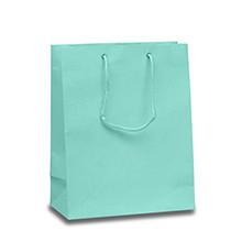 China Nylon Handle Small Paper Bags For Jewellery With Reinforced Metal Eyelets for sale