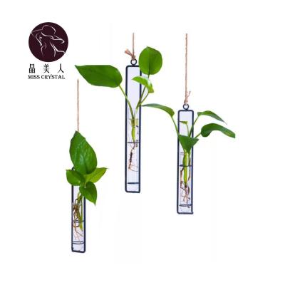 China Small DIY Flower Plant Container Creative Vase Iron Flower Hanging Decoration Wall Hanging Flower Transparent Glass Rack for sale