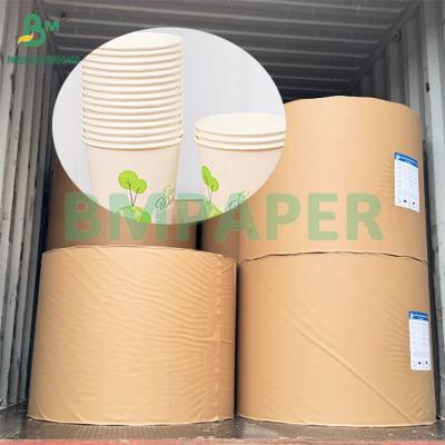 China 190gsm 320gsm+15gPE Coated Food Grade Disposable Hot Coffee Cup Paper for sale