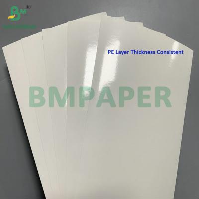 China 260gsm + 15gsm PE Coated SBS Cardboard For Frozen Shrimp Food Packaging Box for sale