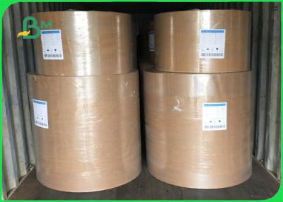 China Paper Plate Raw Material FSC PE Coated Brown Kraft Plain Paper 700mm Coils for sale