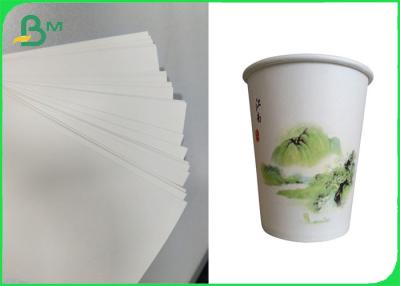 China PET beschichtetes Cupstock Rohpapier Rolls 170GSM - abbaubares Material 210GSM zu verkaufen