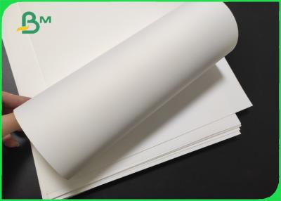 China De Polyester Matte White Material Paper 100 van het scheurbewijs - 500um-Dikte Te koop