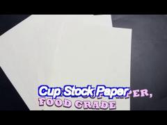 200g waterproof customized pe coated white cup paper raw material