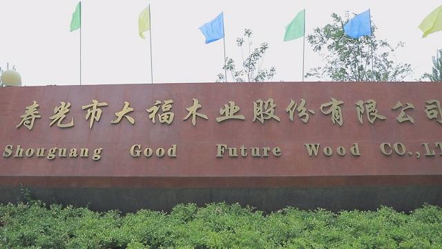 Verified China supplier - Shouguang Good Future Wood Co., Ltd.