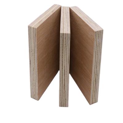 China Widely used for mr.p furniture plywood cheap plywood sheet from Shouguang plywood factory for sale