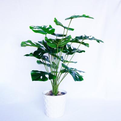 China Wedding Party Hotel Decoration Home Plant Head 18 Realistic Fake Plants Turtleback Plants Fake Bonsai Trees Plastic Artificial Home Decor Wedding Party Leaf for sale