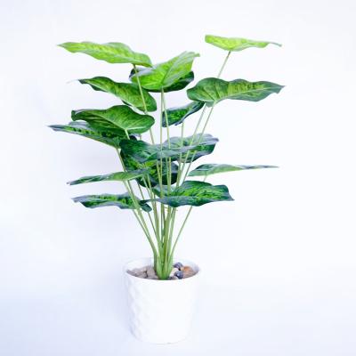 China Wedding Party Hotel Decoration Home Plant Head 18 Realistic Fake Bonsai Plants Rohdea Plants Japan Quince Leaves Plastic Artificial Wedding Party Home Decor for sale