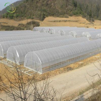 China 2023 Agricultural Plastic Multi-Spanl Glass Polycarbonate Sheet Hydroponic Greenhouse For Farm for sale