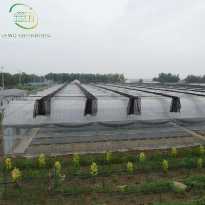 China Cheap Agricultural Tomato Span Plastic Sheet Multi Agricultural Cover Low Cost Economic Tunnel Greenhouse For Vegetable for sale