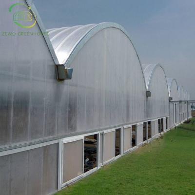 China Mart Agricultural Multi Span Arch-Type Film PE Greenhouse for Vertical Farming for sale