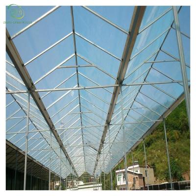 China Agricultural Hot Sale Double Tunnel Green House For Vegetable Fruits/Flowers/Tomato/Lettuce/Cucumber/Peeper With Hydroponics/Irrigation/Aquapo for sale